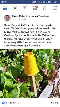 a yellow lamp sitting in the middle of a garden