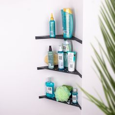 three black shelves with different types of hair care products on them next to a potted plant