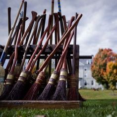 brooms lined up in a wooden holder on the grass