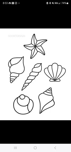 an image of seashells and starfish in line art on a phone screen