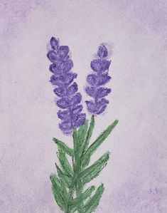 a drawing of some purple flowers on a white background