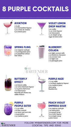 Purple Cocktails Purple Drink Ideas, Color Themed Cocktails, Mixology For Beginners, Purple Cocktail Recipes, Coloured Cocktails, Virgo Cocktail, Purple Cocktails Recipes, Black Colored Cocktails, Purple Mojito