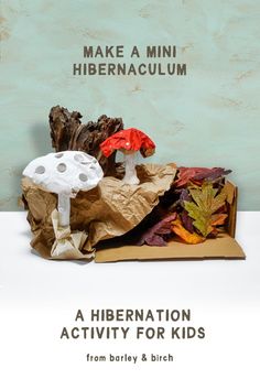 a book cover with mushrooms and leaves on it