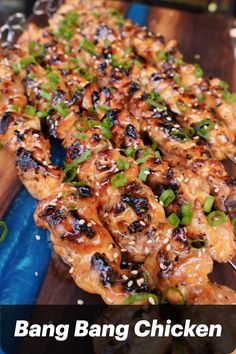 chicken skewers with sesame seeds and green onions