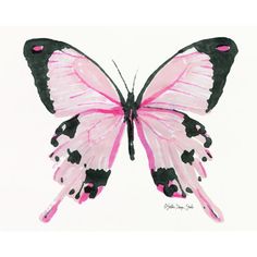 a pink butterfly with black spots on its wings