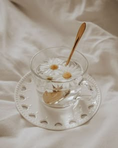 a glass cup filled with water and daisies