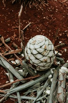 a ball sitting on the ground surrounded by sticks and grass, with dirt in the background