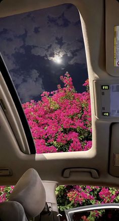 the sun shines brightly through the window of a car as it drives past pink flowers