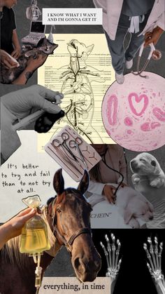 a collage of photos with horses, hands and other things in them that are pink