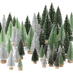 a group of trees that are next to each other with snow on them in the shape of christmas trees