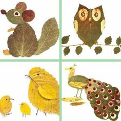 four pictures of different types of leaves and birds