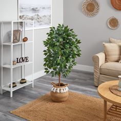 a living room with a potted plant in the center and other decorations on the wall