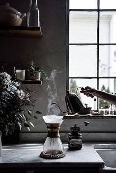 a woman pours coffee into a cup on a kitchen countertop next to a potted plant