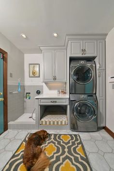 a dog is sitting in front of a washer and dryer