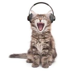 a cat wearing headphones with its mouth open and it's teeth wide open