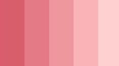 a pink color palette with different shades