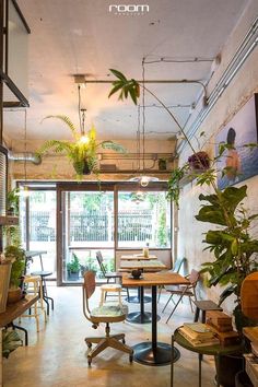 a room filled with lots of plants and furniture