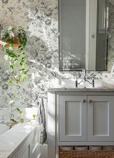 a bathroom with a sink, mirror and bathtub next to a plant in the corner