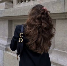 Healthy Shiny Hair, Brown Hair Looks, Brown Hair Inspo, Long Brown Hair, Dream Hair, Shiny Hair, All Hair Types, Aesthetic Hair, Mode Inspiration