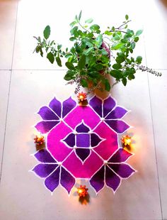 a potted plant sitting on top of a white floor next to a purple rug