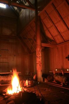 an open fire in a wooden room with logs