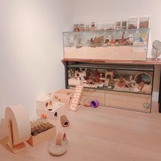 a room filled with lots of different types of toys and items on the wooden floor