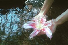 a person holding a flower in the water