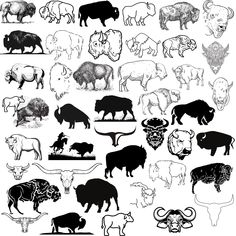 the silhouettes of different animals are shown in black and white, including buffalo, bison,