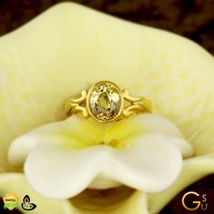 GIA Certified Yellow Sapphire set in a Gold Ring from the Gemstoneuniverse collection of fine Jyotish Gemstones Pushparagam Stone Ring Designs, Pushyaragam Stone Rings, Yellow Saffire Ring For Women, Kanakapushyaragam Ring Designs, Yellow Sapphire Ring Designs, Yellow Stone Rings For Women, Pukhraj Ring Design For Women, Yellow Sapphire Ring Gold Women