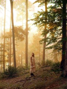 a person standing in the middle of a forest with trees and sunbeams behind them