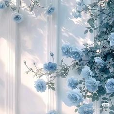 blue roses are growing on the side of a window