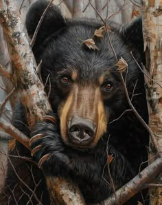 a painting of a black bear peeking out from behind a tree with leaves on its head