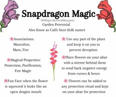 Spell To Make Plants Grow, Flowers For Witchcraft, Fern Magical Properties, Flowers Used In Witchcraft, Witchy Plants, Plant Magick, Foxglove Magical Properties, Dragon Magic, Snap Dragon