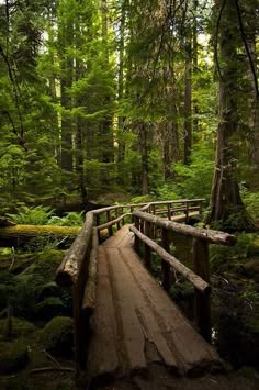 a wooden bridge in the middle of a forest