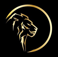 a lion's head is shown in the middle of a gold circle on a black background