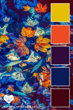 an image of autumn leaves in shades of blue, orange and yellow