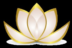 a white and gold lotus flower on a white background