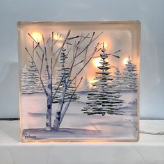 a glass block with some trees in the snow and lights on behind it that are lit up