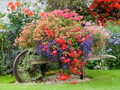 an old wooden wheel with flowers growing on it's sides in a garden area