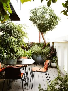 an outdoor table and chairs with potted trees in the back ground, on a wooden deck