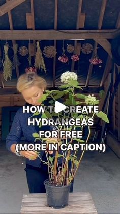 a woman standing next to a potted plant with the words how to create hydrageas for free more in caption