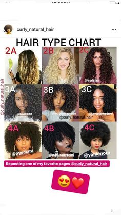 Hair Type Chart, Board Themes, Boring Hair, Wavy Curly Hair, Afro Hair, Short Curly Hair, Hair Health