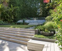 an outdoor garden with steps and plants in the foreground, surrounded by greenery