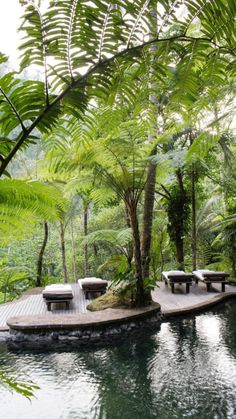 an outdoor swimming pool surrounded by lush green trees and plants with benches on the platform