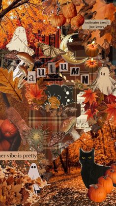 a collage of halloween images with pumpkins, cats and other things in the background