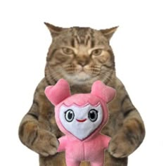 a cat is holding a pink stuffed animal