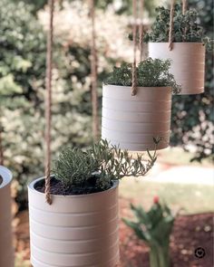 three hanging planters with plants in them