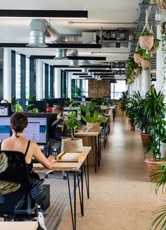 a woman sitting at a desk in an office with plants on the wall behind her