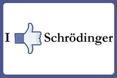 i like schrodinger on facebook with the thumbs up sign above it