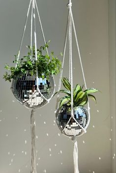 two hanging planters with plants in them